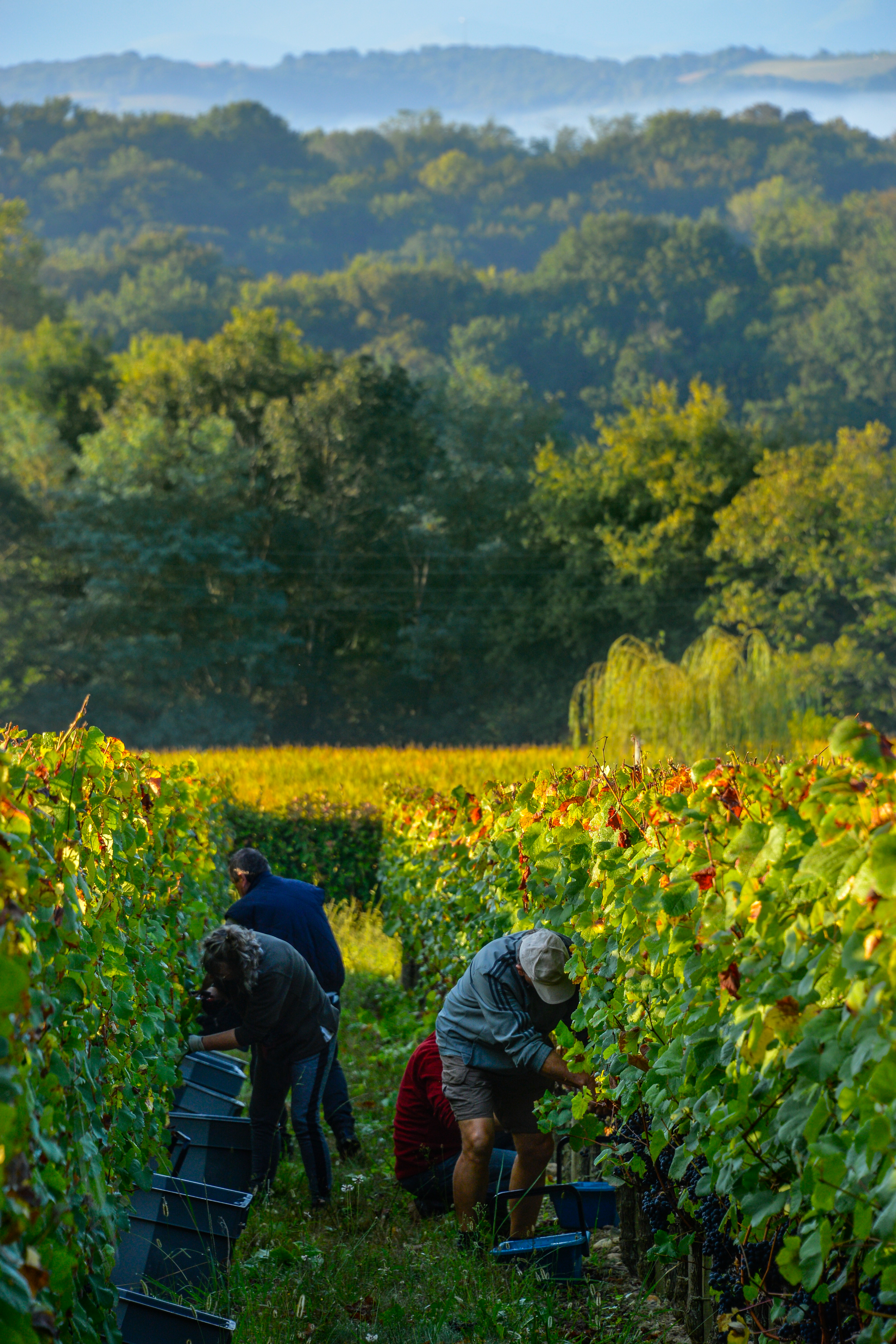 Photo de producteurs