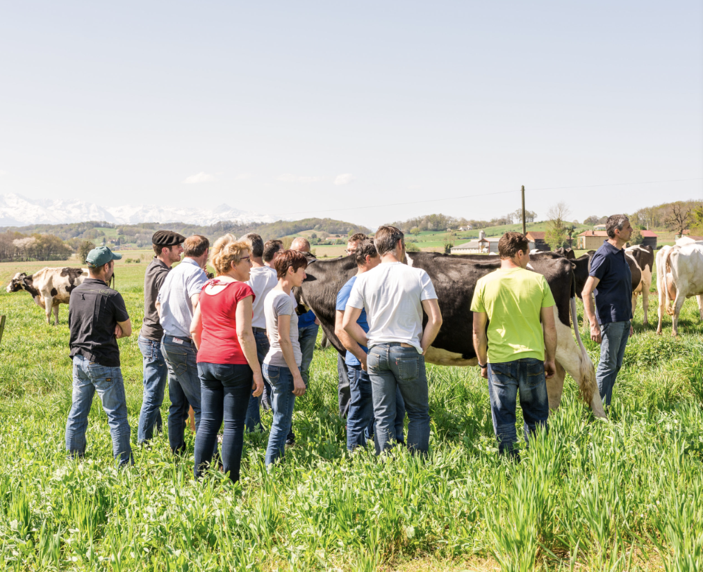 Photo de Producteurs Blanc des Pyrénées