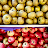 Bouton de navigation : Fruits & légumes