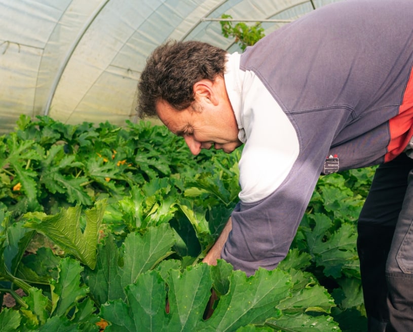 Photo de Regroupement de producteurs du Sud-Ouest