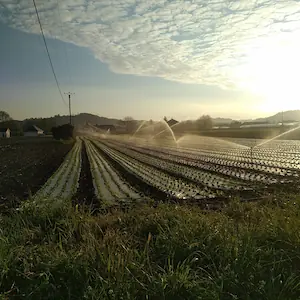 Alexandre et Aurélie.