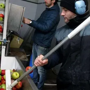 Pressoirs du Pays Basque.