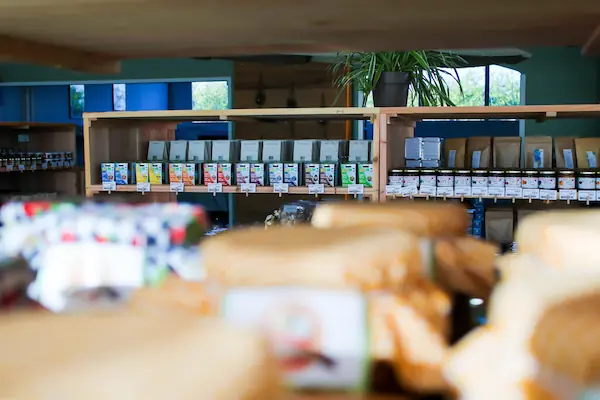 Nos experts douceur.