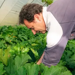 Regroupement de producteurs du Sud-Ouest.